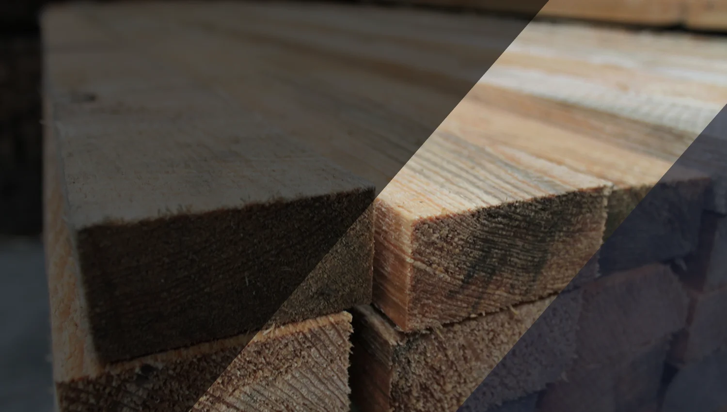 Madera para cimbra de Maderería Progreso